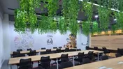Office training room with long desks, black chairs, hanging plants and Bali-themed wall art.